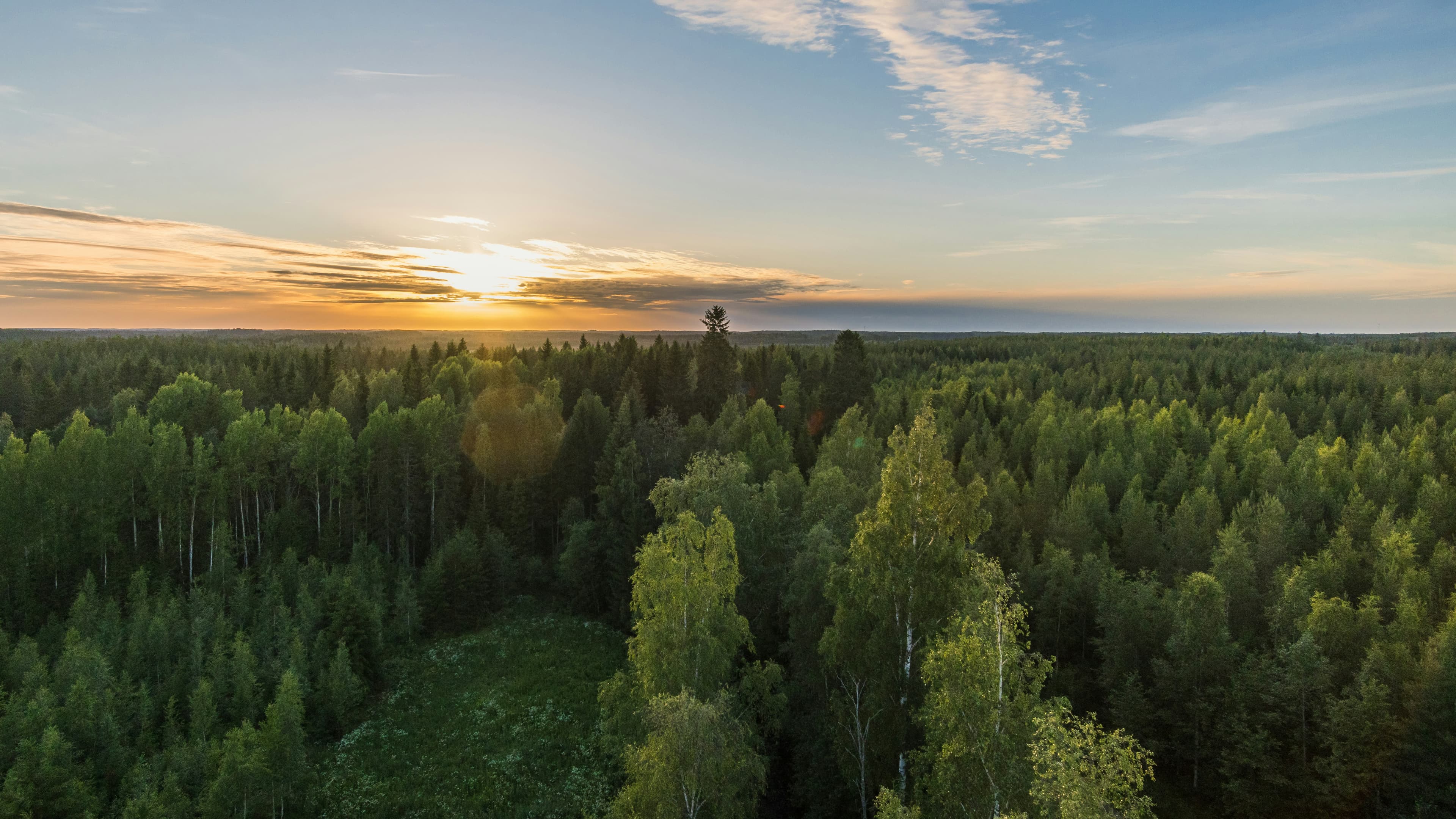 Rauhallinen järvimaisema